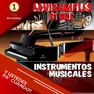 Instrumentos Musicales
