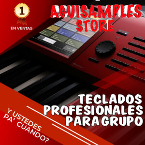 Teclados Profesionales para uso en Grupo