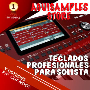 Teclados Profesionales para uso como Solista